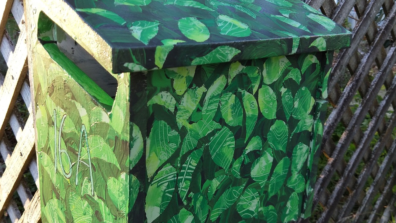 Photo of Others in New Plymouth