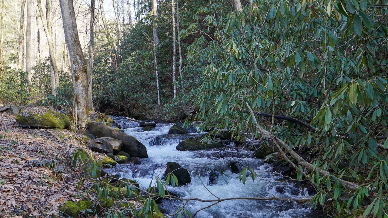 Photo of Others in Cherokee