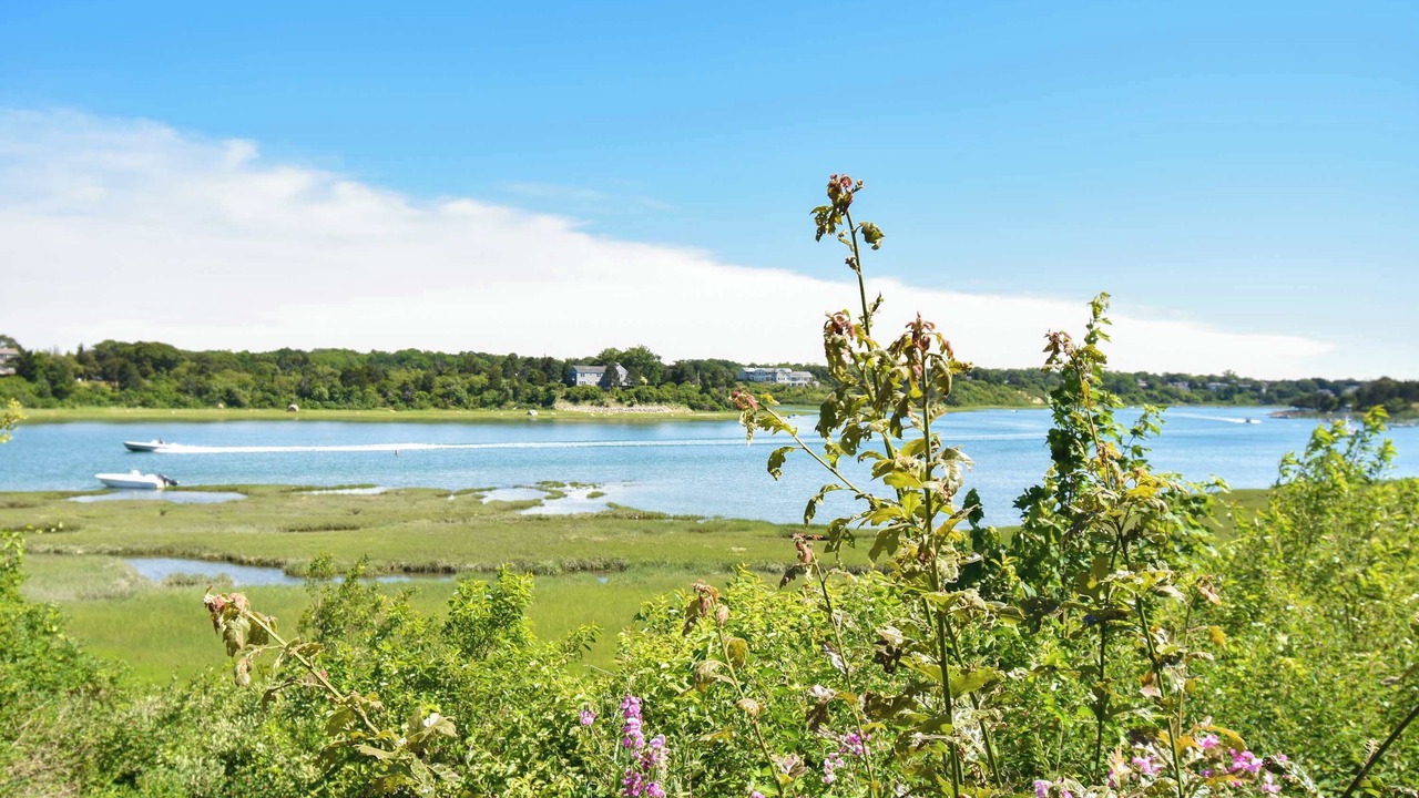 Photo of Others in South Orleans