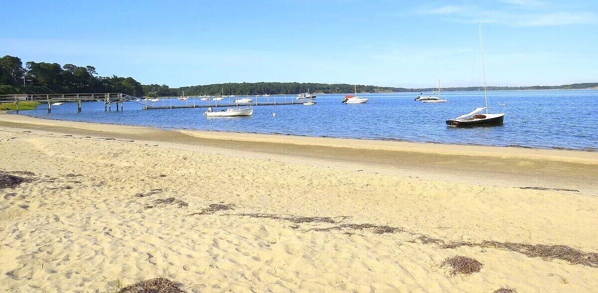 Photo of Others in South Orleans