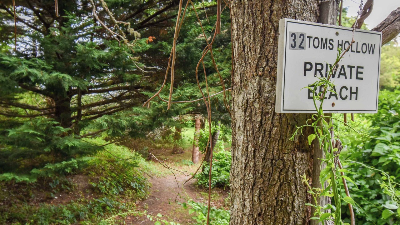 Photo of Outdoor in South Orleans