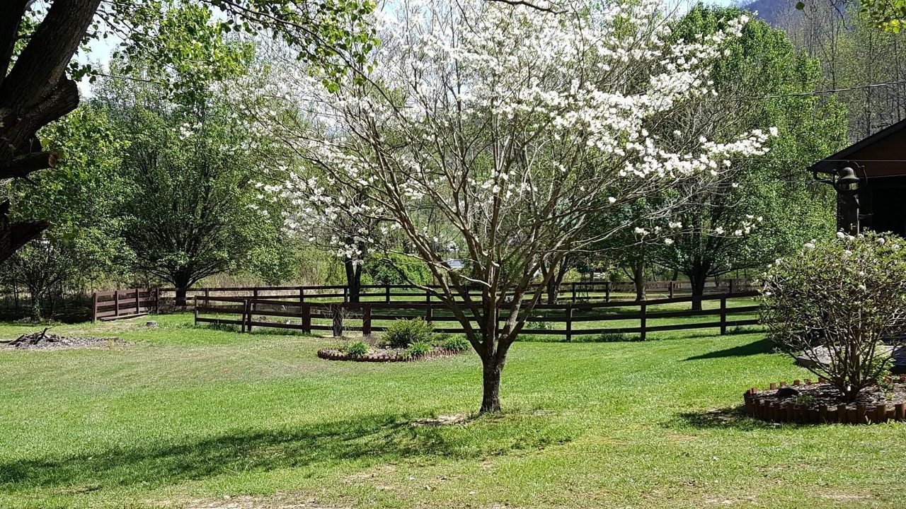 Photo of Outdoor in Wears Valley