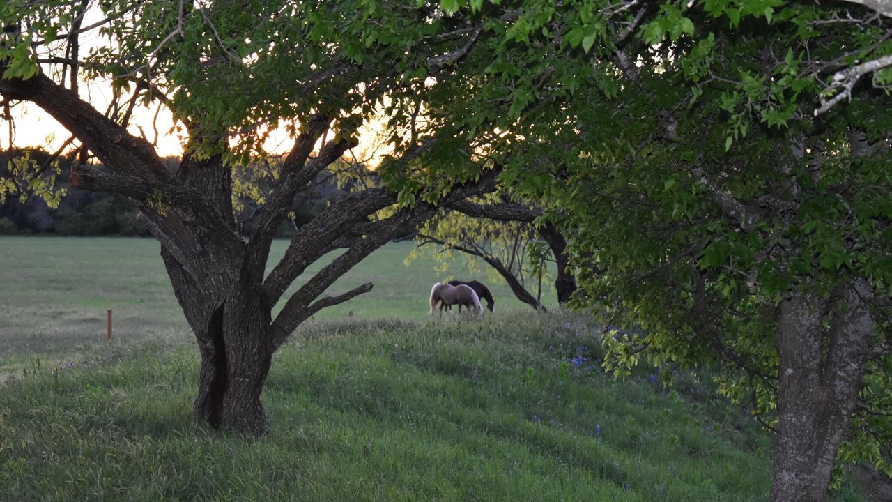 Photo of Outdoor in Zephyr