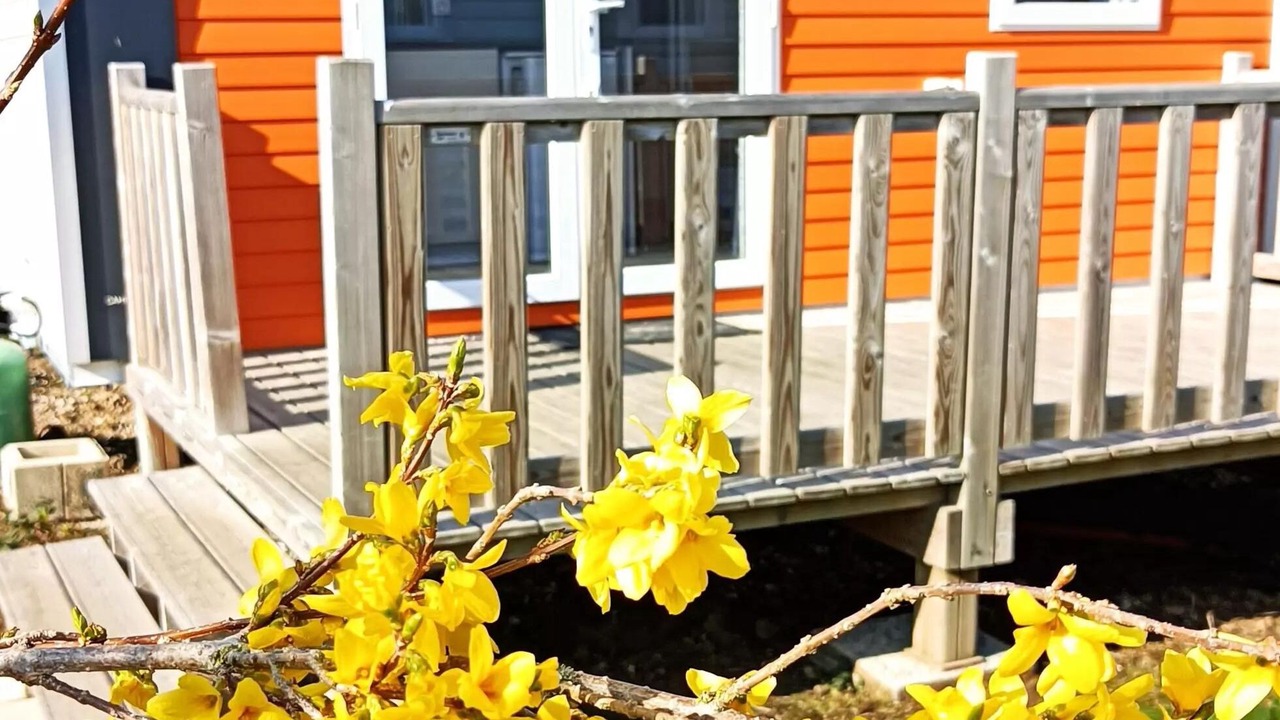 Photo of Outdoor in Saint-Aubin-sur-Scie