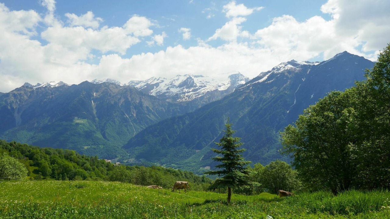 Photo of Others in Acquarossa