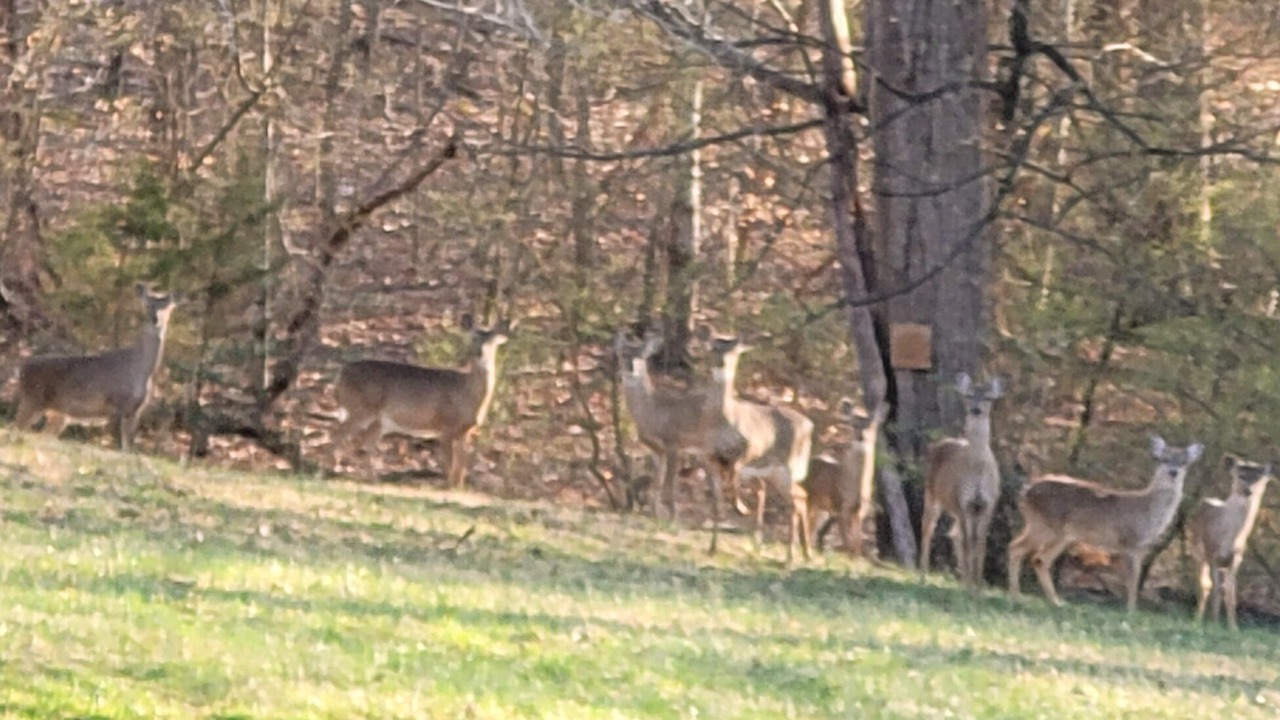 Photo of Outdoor in Charlottesville