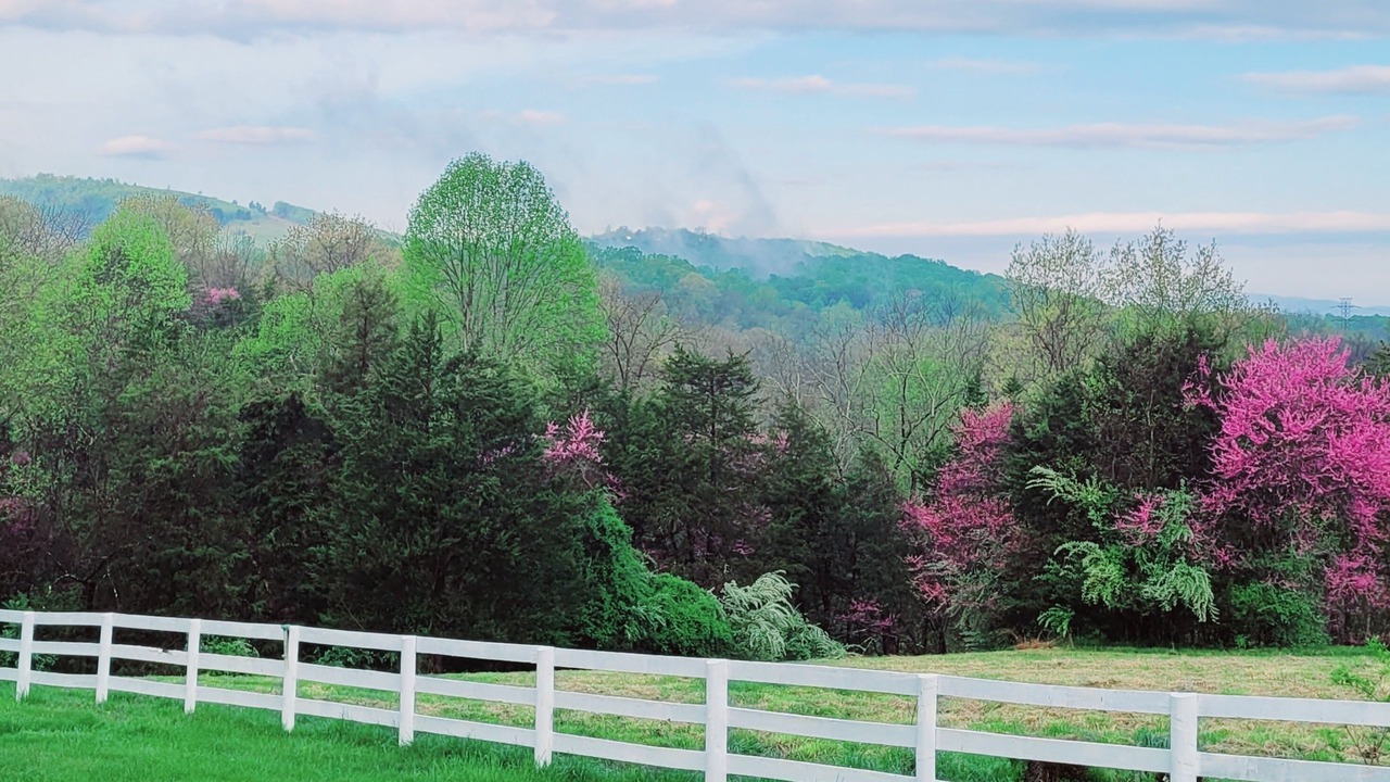 Photo of Outdoor in Charlottesville