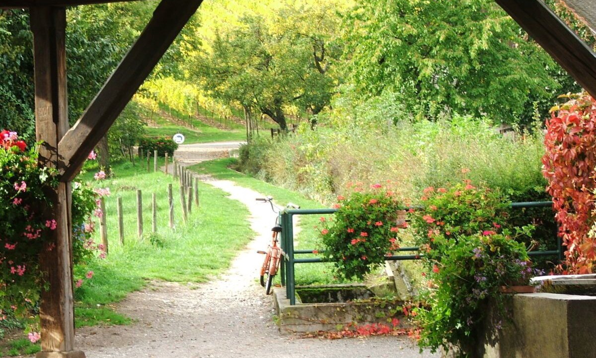 Photo of Outdoor in Hunawihr