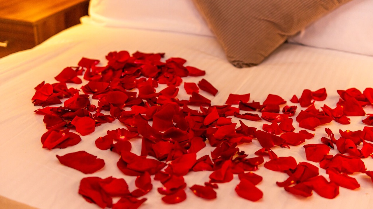 Photo of Others in Bradford