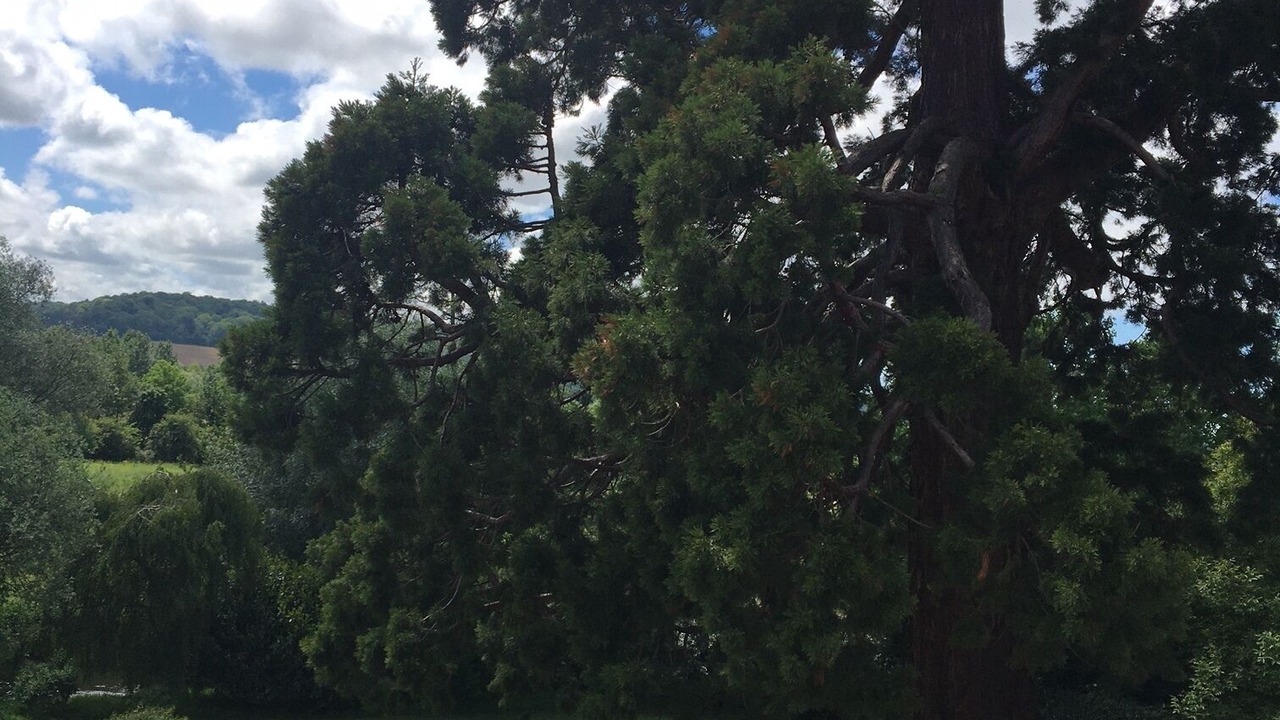 Photo of Outdoor in Saint-Aubin-le-Cauf