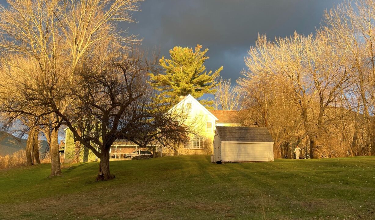 Photo of Outdoor in Dorset