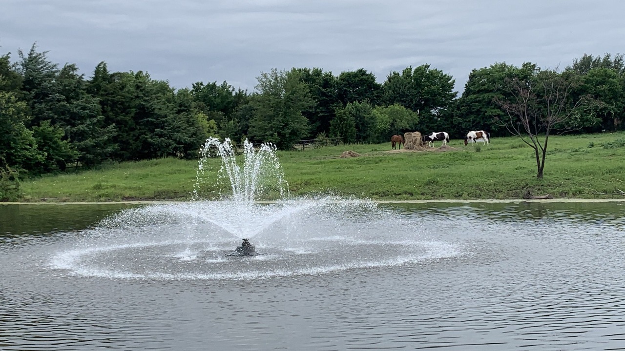 Photo of Others in Garland