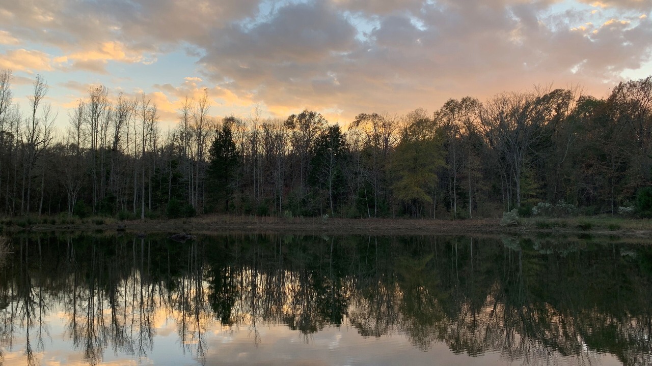 Photo of Others in Grand Saline