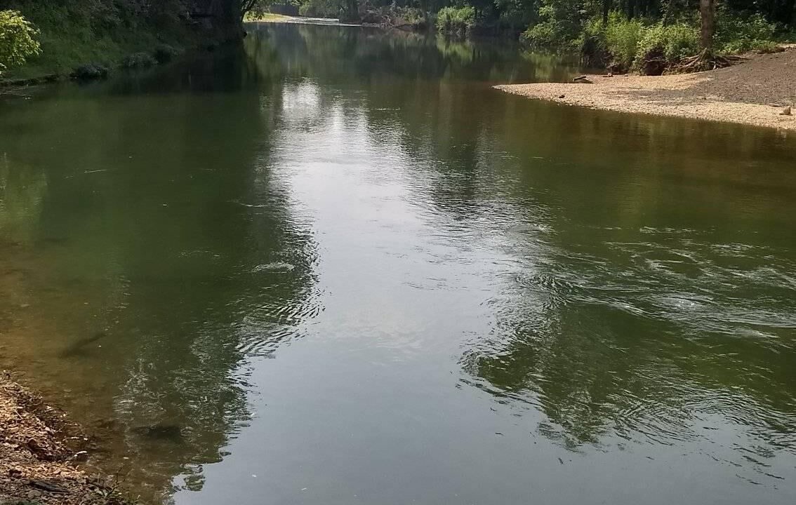 Photo of Others in Springdale