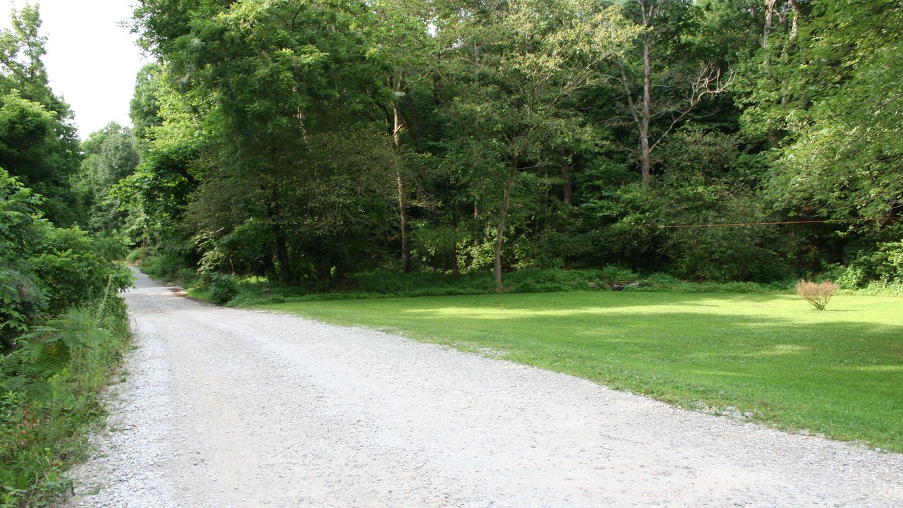 Photo of Others in Springdale