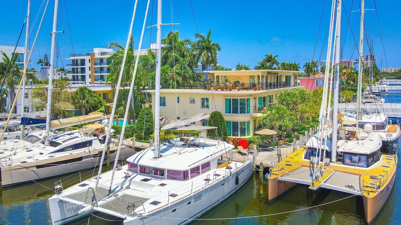 Photo of Others in Hendricks and Venice Isles