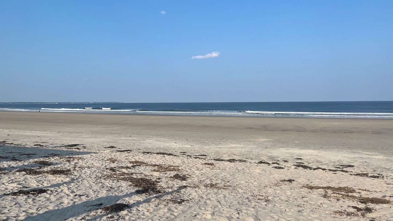 Photo of Others in Wells Beach