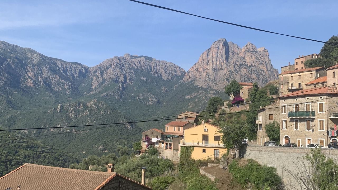 Photo of Others in Ota