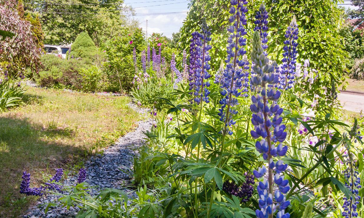 Photo of Outdoor in Wolfville