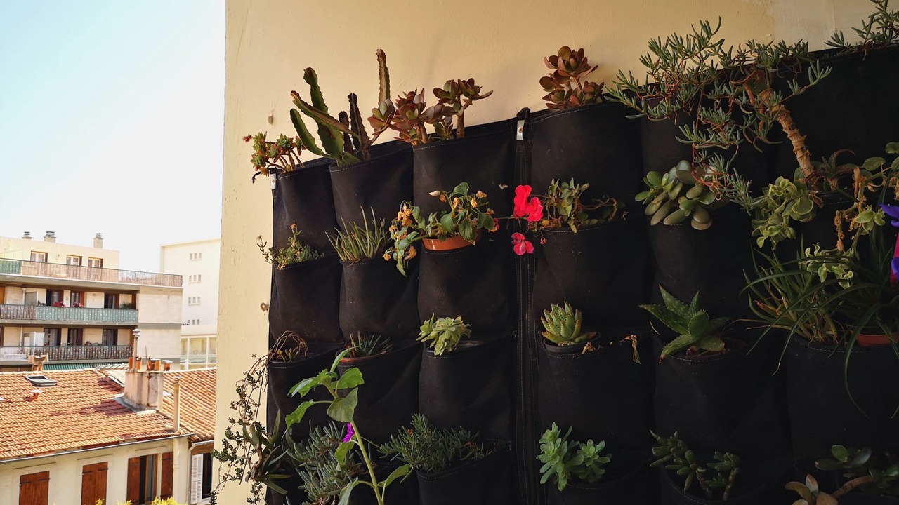 Photo of Outdoor in Le Pharo