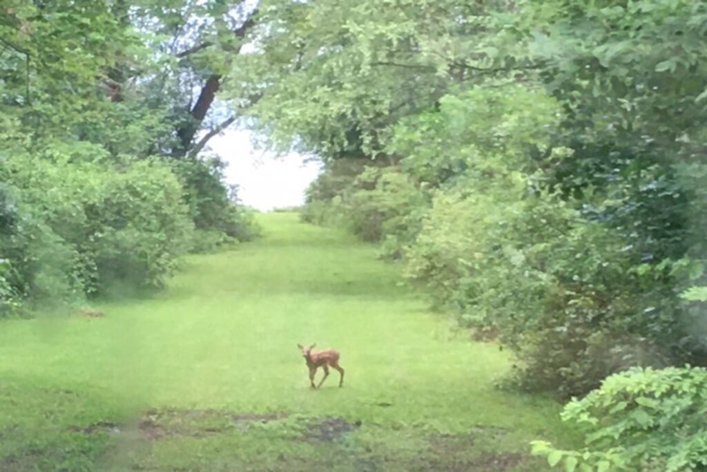 Photo of Others in Pymatuning Central