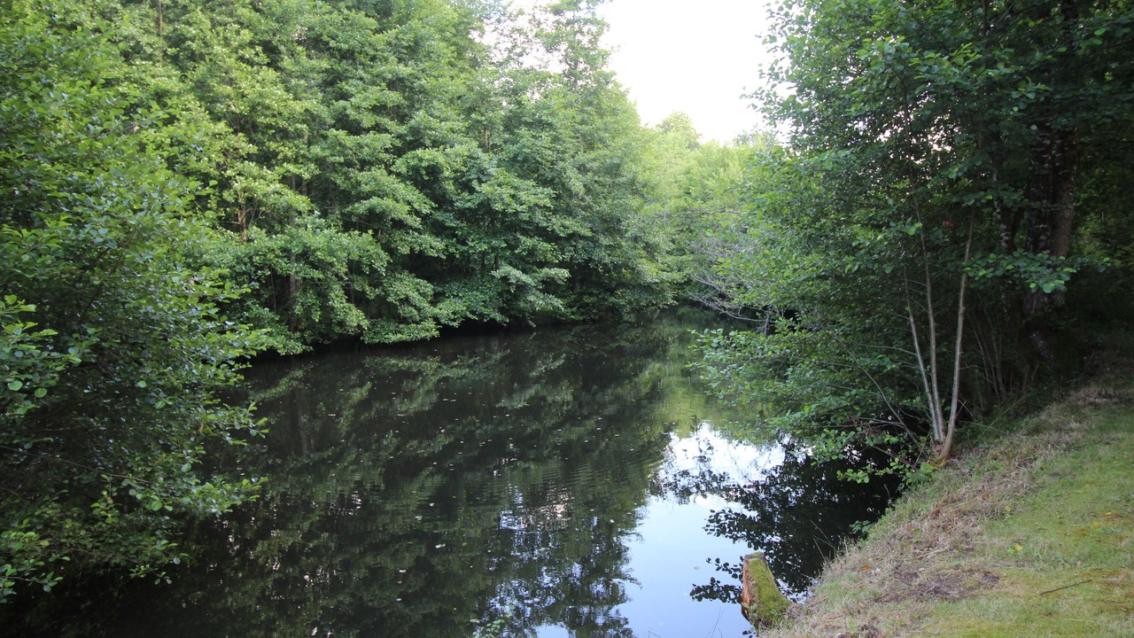 Photo of Outdoor in Cercoux