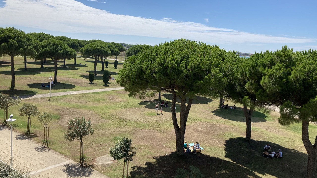 Photo of Outdoor in Le Grau-Du-Roi