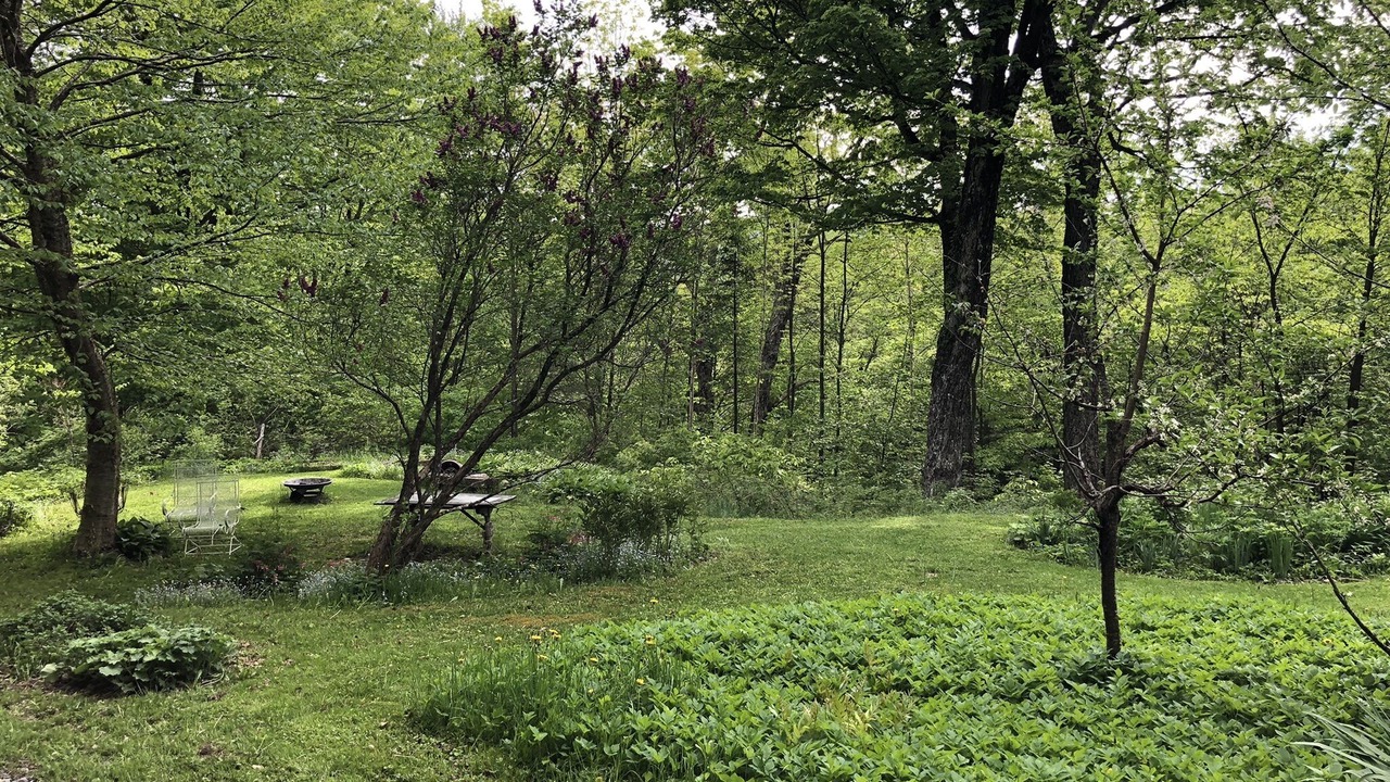 Photo of Outdoor in Warren