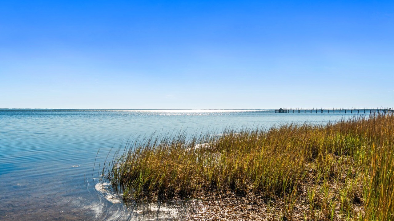 Photo of Others in Port St. Joe