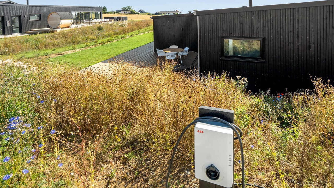 Photo of Others in Hvidbjerg Strand