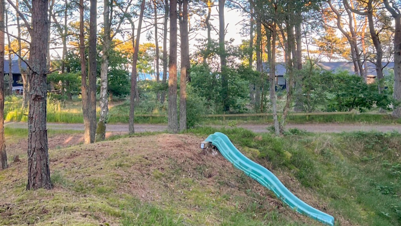 Photo of Others in Dueodde