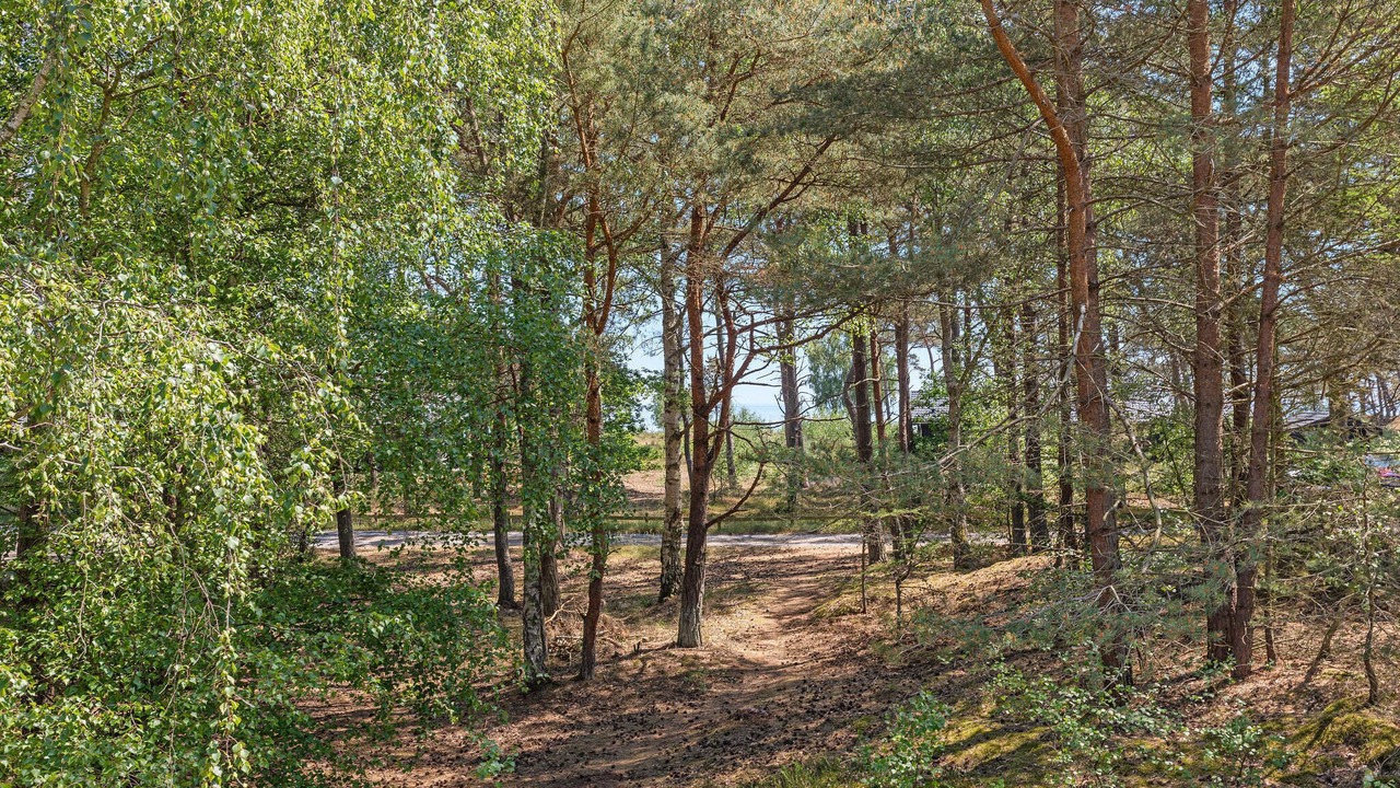 Photo of Others in Dueodde
