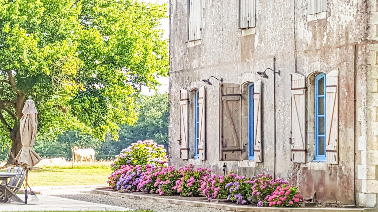 Photo of Others in Beylongue
