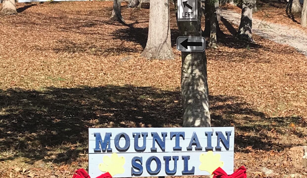 Photo of Others in Ellijay