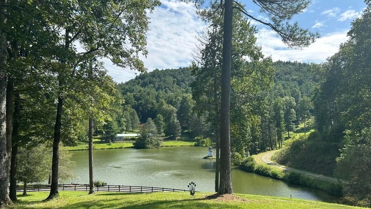 Photo of Others in Ellijay