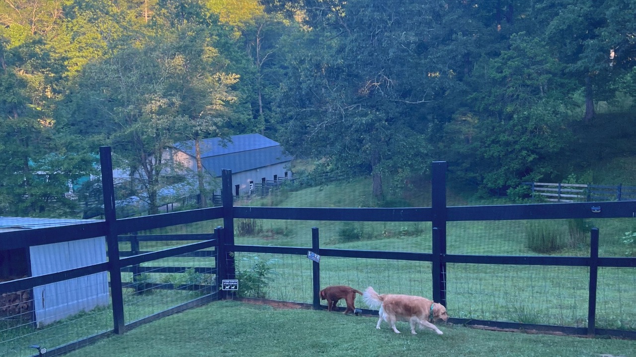 Photo of Others in Ellijay