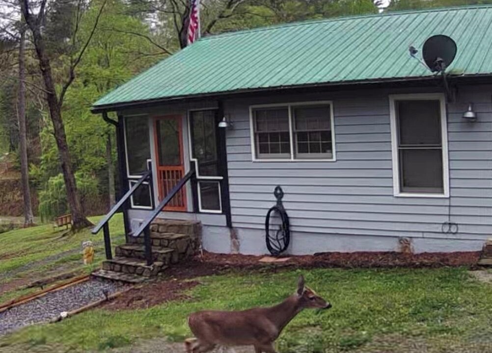 Photo of Others in Ellijay