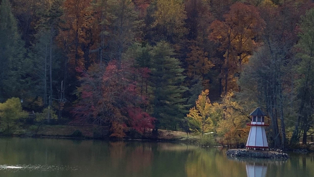 Photo of Others in Ellijay
