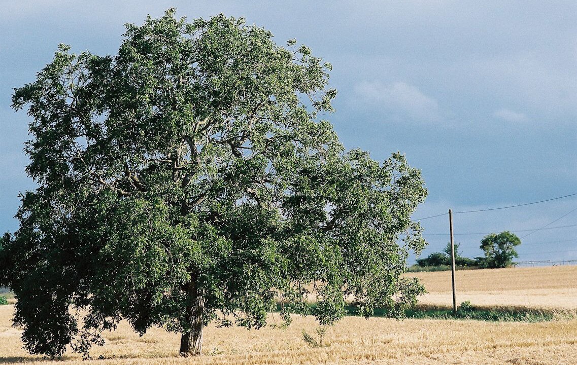 Photo of Outdoor in Ligre