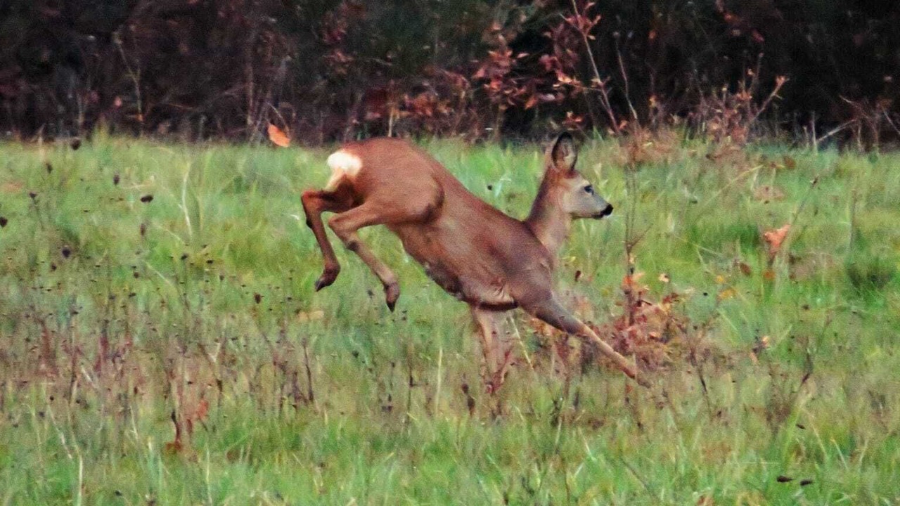 Photo of Outdoor in Saint-Georges