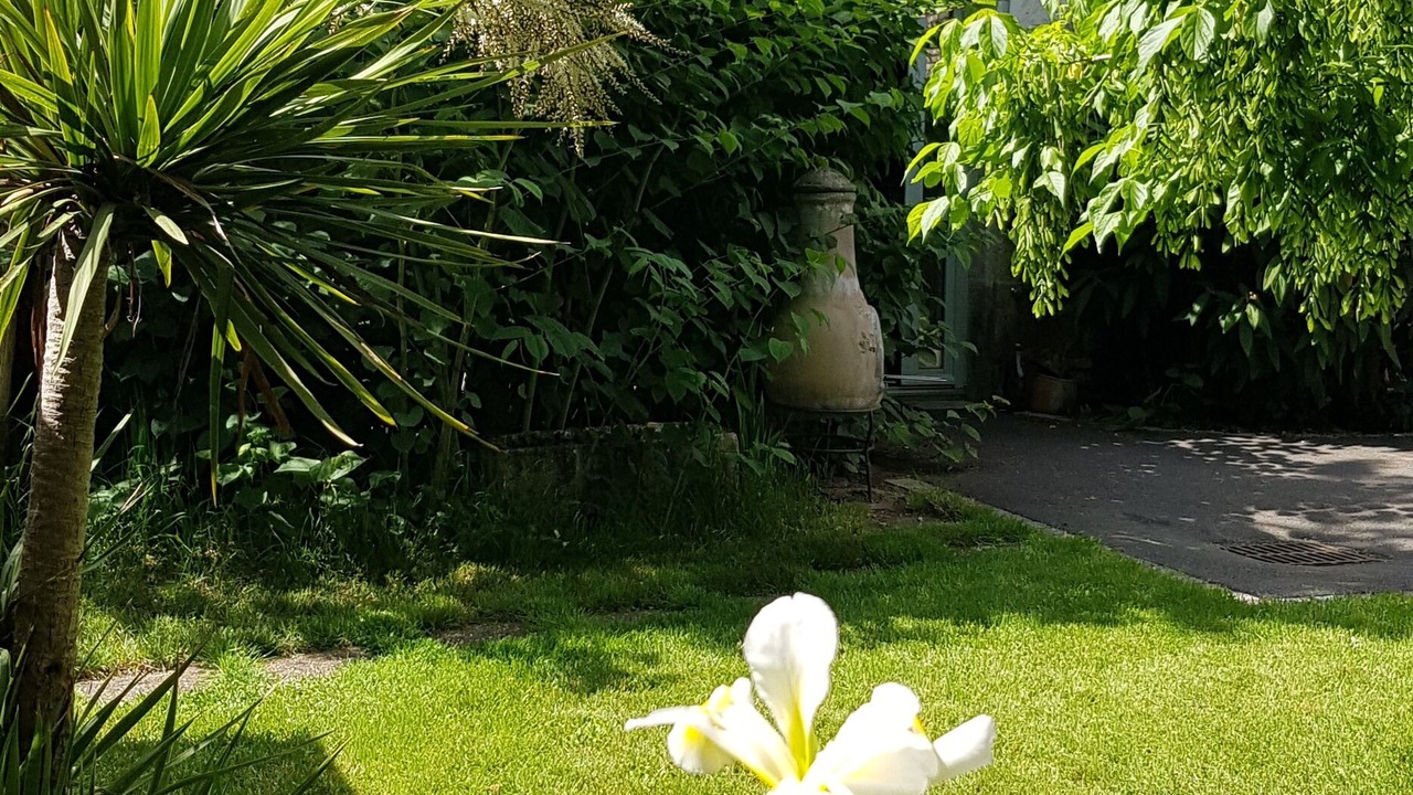 Photo of Outdoor in Nalliers