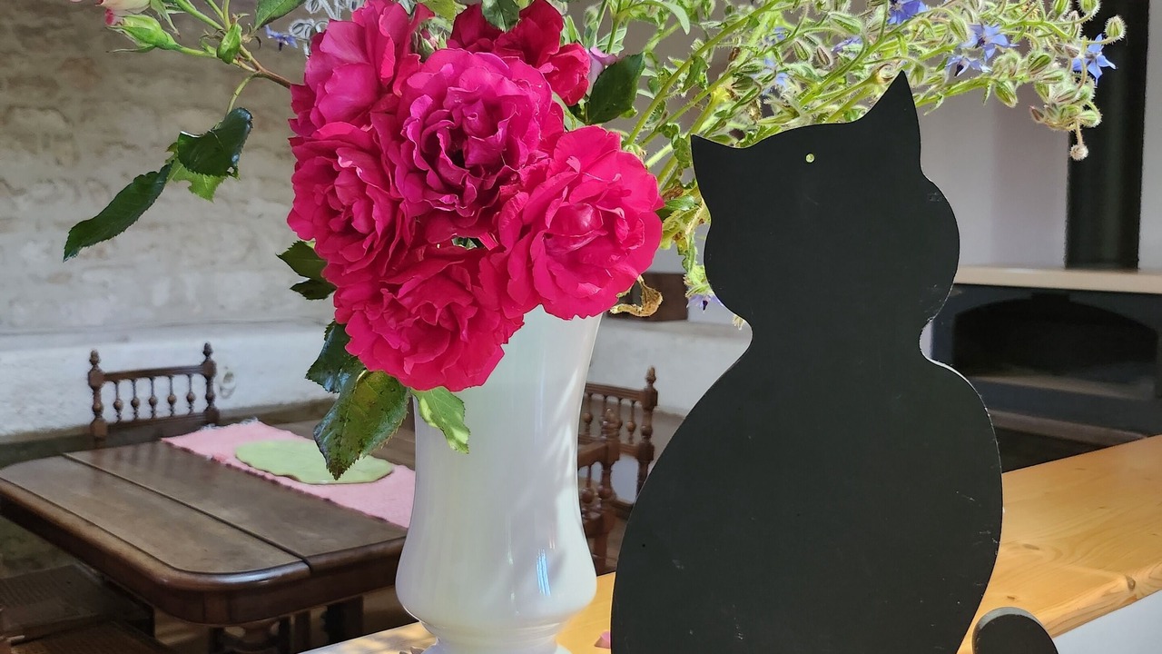 Photo of Others in Nalliers