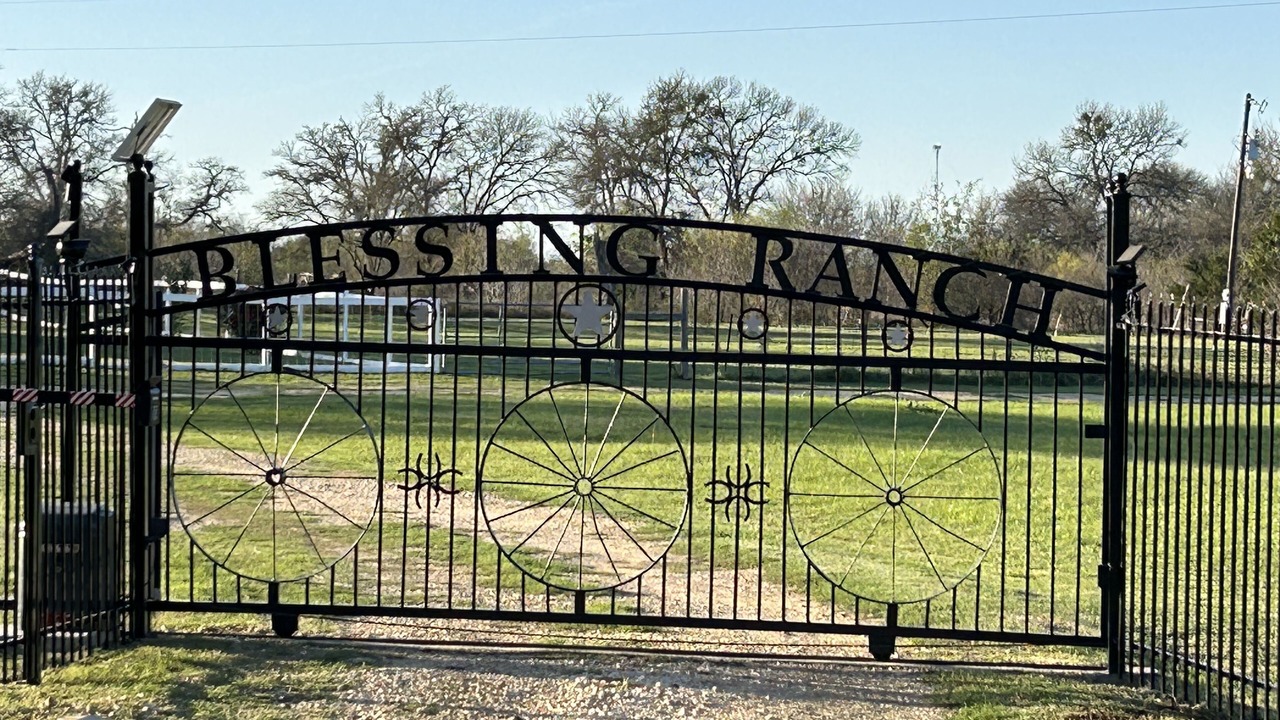 Photo of Outdoor in Paige