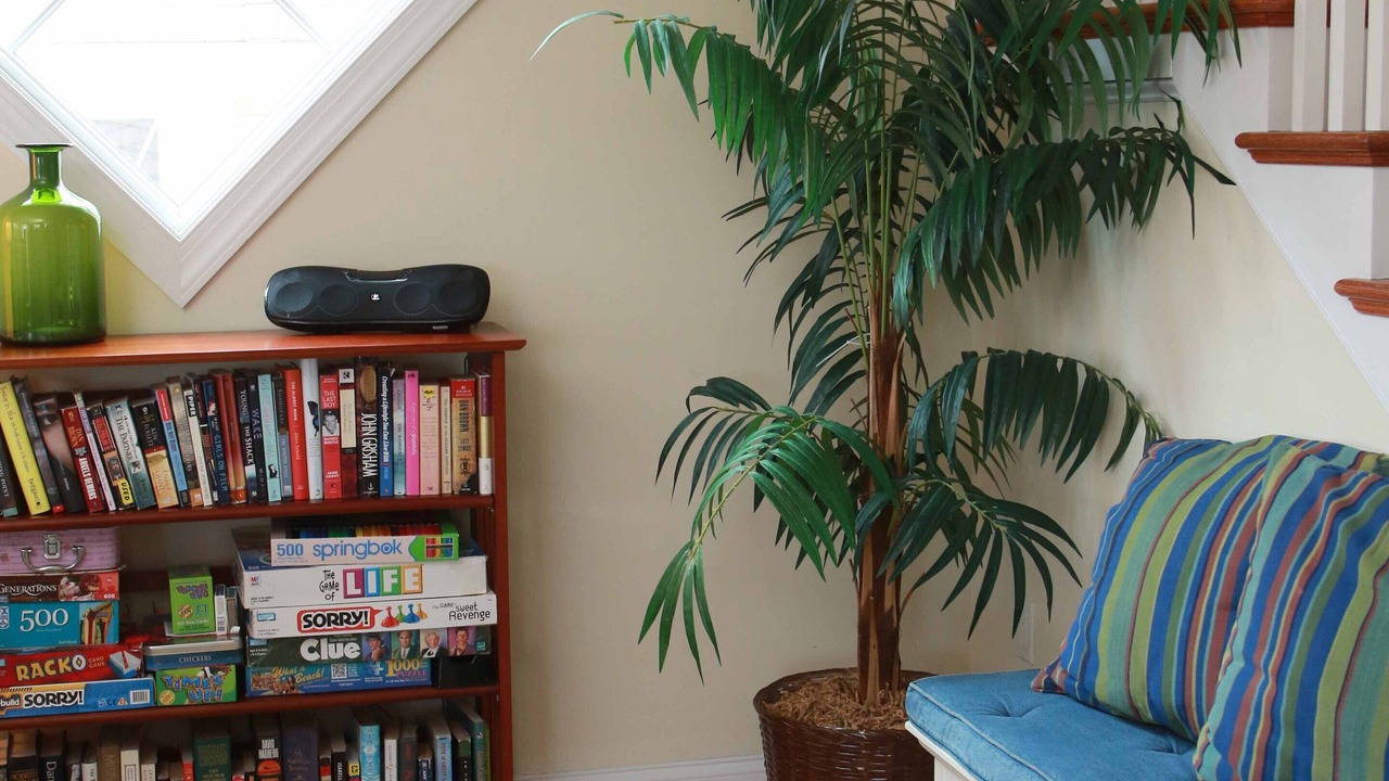 Photo of Others in Cape May