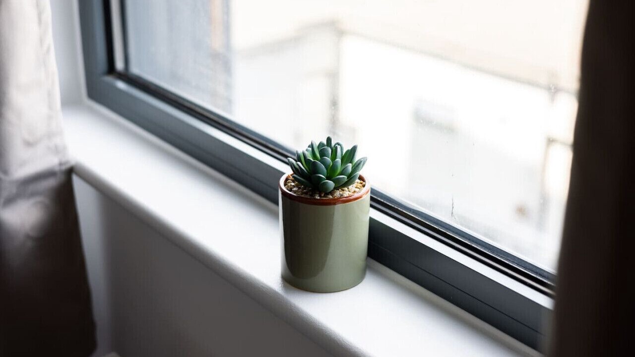 Photo of Others in De Beauvoir