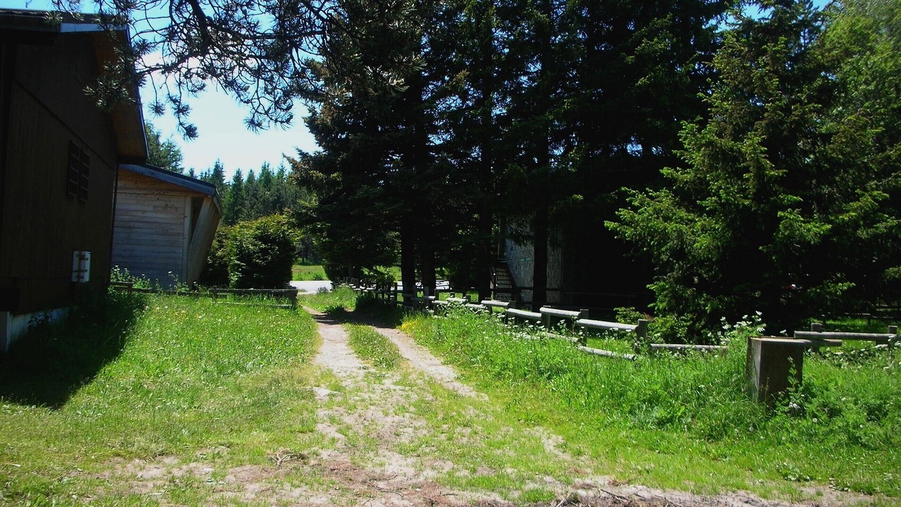 Photo of Outdoor in Pyrenees 2000