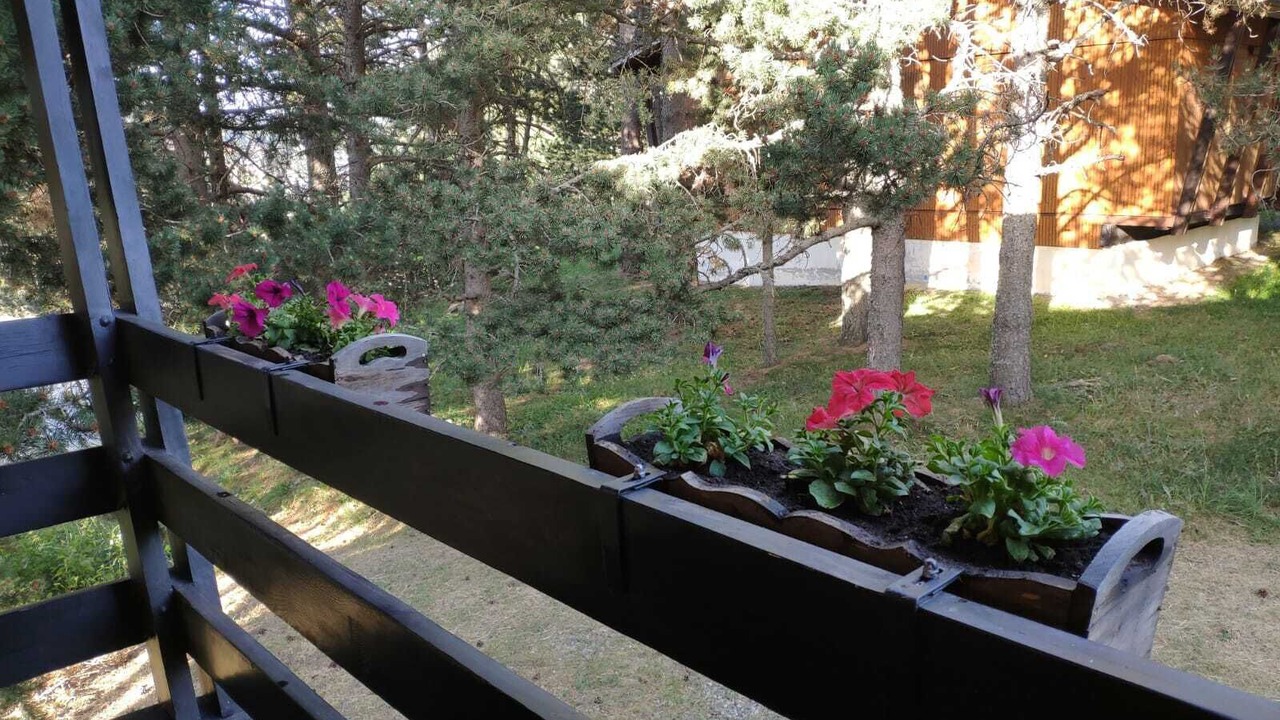 Photo of Outdoor in Pyrenees 2000