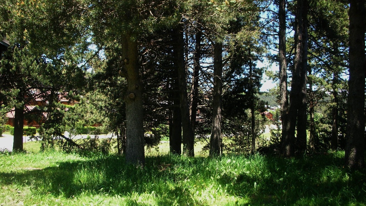 Photo of Outdoor in Pyrenees 2000