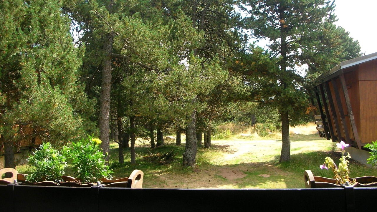 Photo of Outdoor in Pyrenees 2000