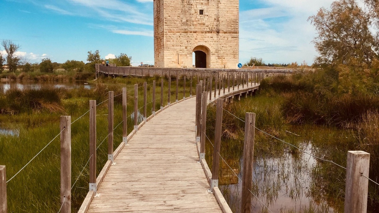 Photo of Others in Fabregues